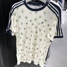 adidas�پW��Ʒ�¿�CE6776_HK