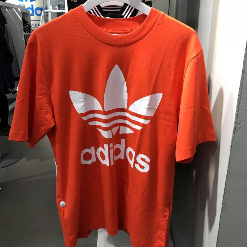 ���� CW1213_HK