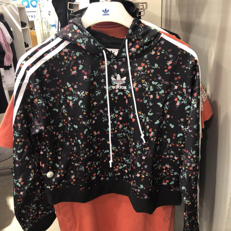 ���� DH4273_HK