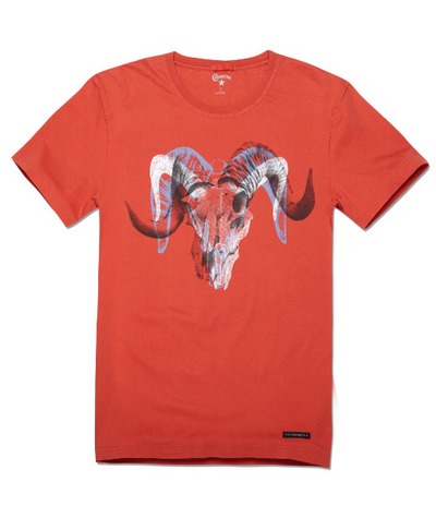 ���� 03693C638,,