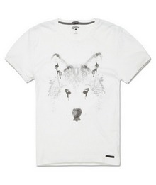 ����2013�¿�03933C100