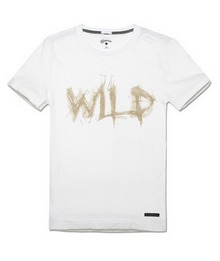 ����2013�¿�03935C100