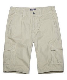 ����2013�¿�03945C266