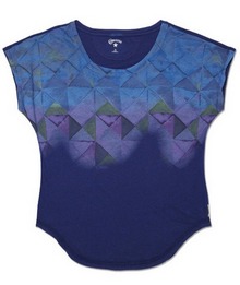 ����2013�¿�04406C924