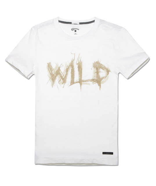 ���� 03935C100