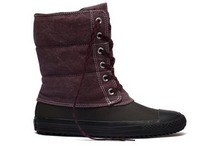 �����¿�527831