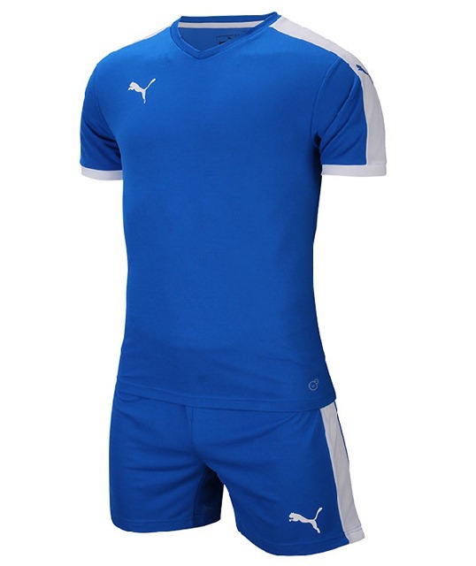 ���� 70310402