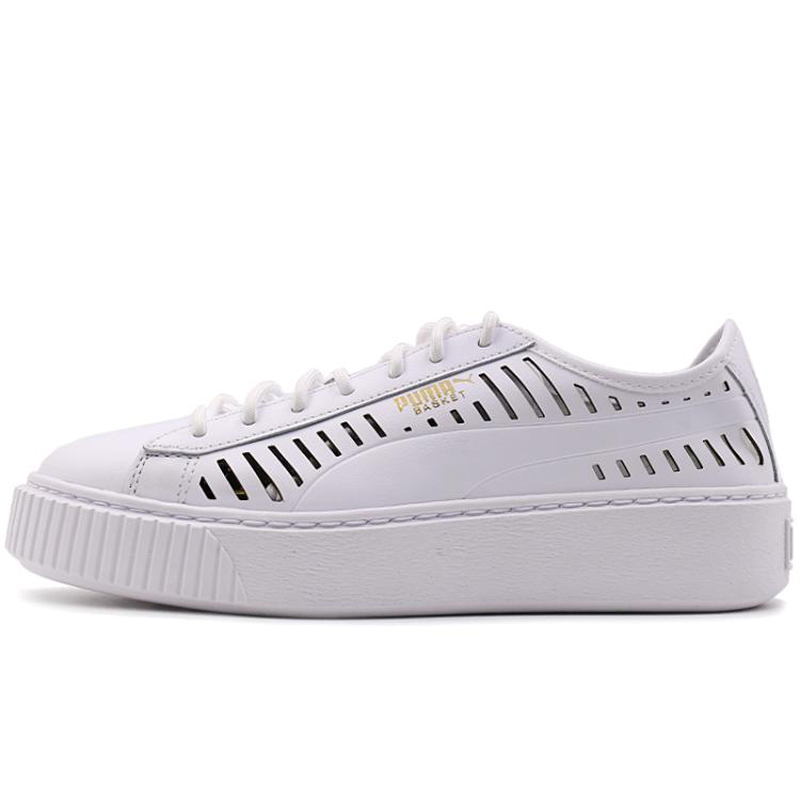 ���� 36519001